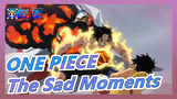 [ONE PIECE/Sad] The Sad Moments We May Have Cried! - Because You Are My Partner!
