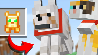 รายการใหม่สำหรับ PETS ใน Minecraft (ความคิดเห็นเกี่ยวกับการประดิษฐ์)