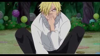 STRAW HATS STUPIDITY MOMENTS(FUNNY MOMENTS)