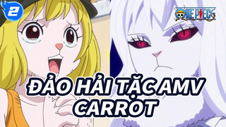 [Đảo Hải Tặc AMV] Tôi mê Carrot, người gì đâu mà vừa dễ thương vừa chiến đấu giỏi!_2