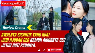 Awalnya sicantik yang kuat ini hanya jadi ajudan CEO namun akhirnya CEO jatuh hati padanya.