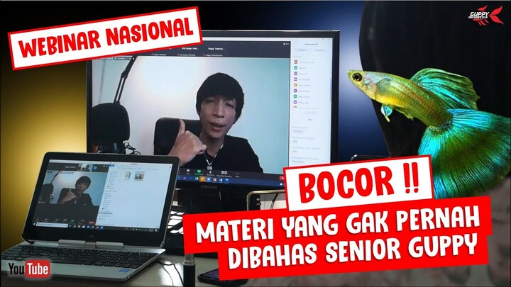 WEBINAR NASIONAL GUPPY INDONESIA BOCOR!!!