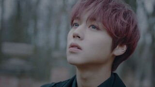 PARK JIHOON- L.O.V.E OFFICIAL MV