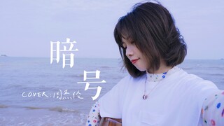 一起吹海风、一起听《暗号》cover.周杰伦