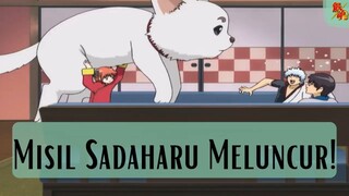 Gintama ||❗❗  Misil Sadaharu Meluncur ❗❗