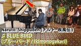 I played BLUE BIRD (Naruto) on piano in public