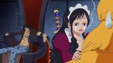 One Piece: Baby5 yang telah diintimidasi sejak kecil.