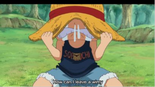 Quá khứ của Luffy ACE và cuộc chiến của họ #OnePice#Animehay#Luffy