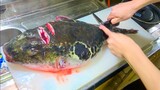 Sashimi Cá Nóc Biển - Xem Người Nhật Làm Sashimi Từ Cá Nóc | Ẩm Thực Nhật Bản