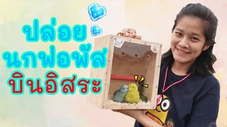 เฟิร์สปล่อยนกแก้วฟอพัสบินอิสระ EP.30