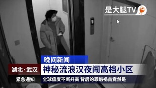 主播真会玩：流浪凯菇#233