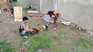 paunat sa mga ugat