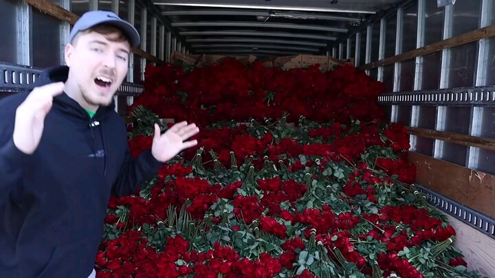 Surprising my girlfriend with 100000 roses for valentines day