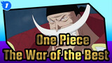 [One Piece/MAD] The War of the Best_1