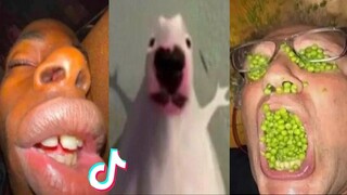 THE FUNNIEST TIK TOK MEMES Of August 2023 | (Try Not To LAUGH) 😂 | #9