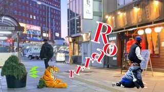 Japanese people ran away from Angry 75 inches Tiger : New Bushman prank 2023