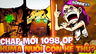 CHAP MỚI 1098 OP | BONNEY LÀ CON GÁI THIÊN LONG NHÂN?! | KUMA NUÔI CON KẺ KHÁC?