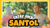 TATAY RICK:SANTOL