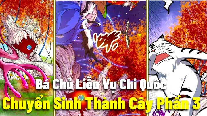 Main Chuyển Sinh Thành Liễu Đột Biến Vô Cùng Bá | Full Chuyển Sinh Thành Liễu Đột Biến Phần 3