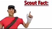 scout