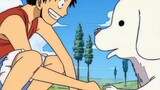 Luffy with animal ♥️