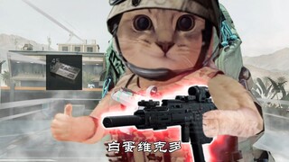 蜂医，你到底在干什么！