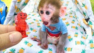 Baby monkey Bon Bon eat Lego block jelly and goes camping with his puppy in the garden