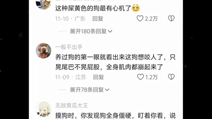 有心机的狗