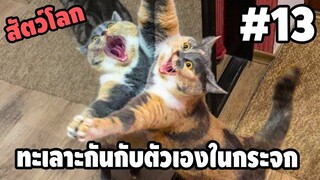 Ep.13 สัตว์โลกกวนตีน - [ พากย์นรก ] | easy boy