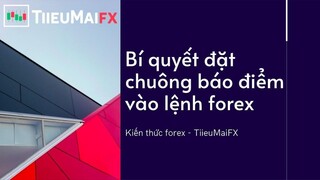 BÍ QUYẾT ĐẶC CHUÔNG BÁO ĐIỂM VÀO LỆNH FOREX