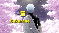 Sakurane -桜音-Gintama -AMV/MAD