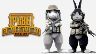 [Phiên bản ăn gà số 1 của Cat Shit] Mở nó theo cách của PlayerUnknown's Battlegrounds, và Rabbit sẽ 