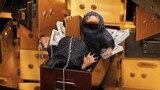Too Great At Robbing, This Mole Can Rob Any Bank Even The Safest Bank Easily