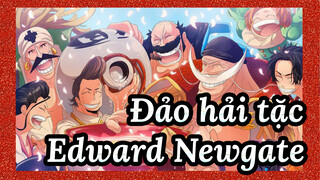 Đảo hải tặc|[Edward Newgate] Tên của kỷ nguyên này là râu trắng!!!