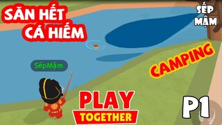 PLAY TOGETHER | #1 Cần Câu Gỗ Săn Hết Cá Hiếm Trong CAMPING | Sếp Mậm