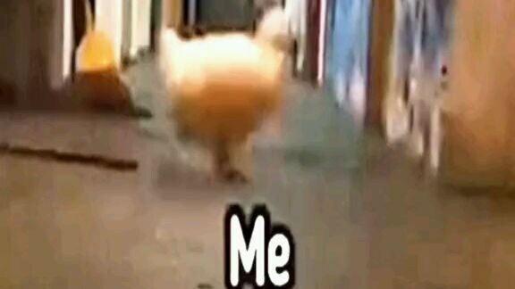 Me going to toilet at 03:00 AM