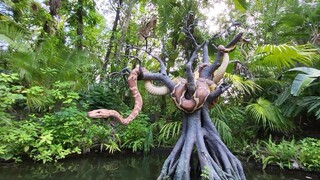 Jungle Cruise Ride with Funny Disney Cast Member - Magic Kingdom fun