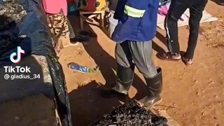 afrika punya nih
