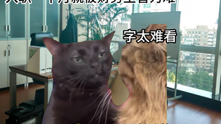 【猫meme】关于我翻脸顶撞上司这件事