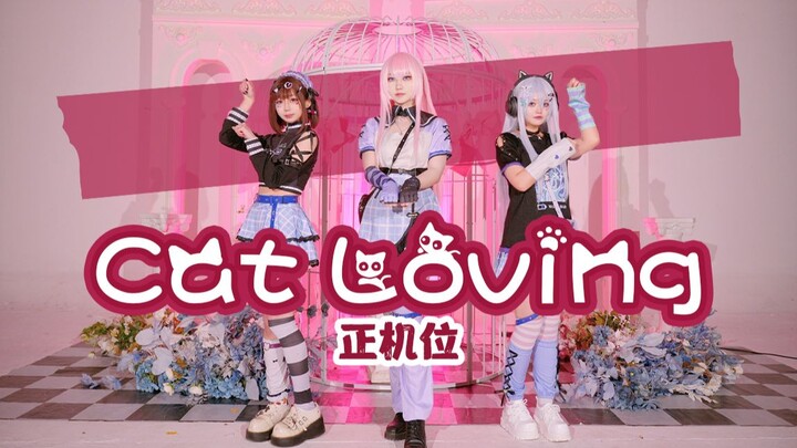 【定机位】キャットラビング／Cat Loving【プロセカ/cos向翻跳】