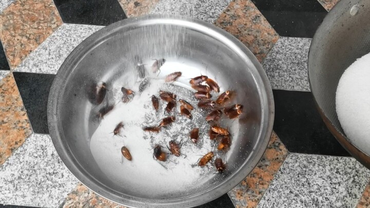 Heat Salts To 500 Degrees and Pour them Into A Cockroach Cluster