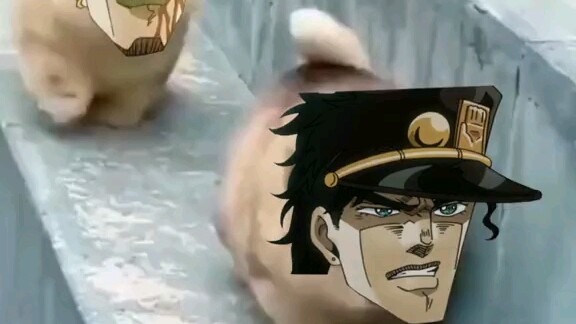 [ JoJo's Bizarre Adventure ] Cute little dog!