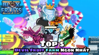 Roblox- Top 5 Trái Ác Quỷ Farm Ngon Nhất ,Blizzard Siêu Ngon?? | Blox Fruit