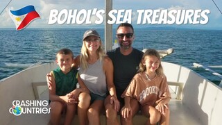U.S. Family in Panglao, Balicasag, and Virgin Island in the Philippines Travel Vlog
