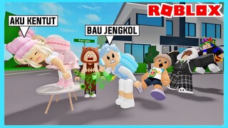 Adiku Kentut Bikin Semua Orang Jadi Pingsan Di Roblox Brookhaven ft @Shasyaalala