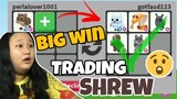 WHAT PEOPLE TRADE FOR ELF SHREW IN ADOPT ME (OMG Big Win)