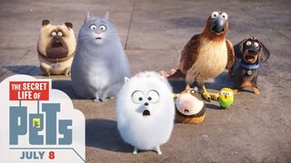 The Secret Life of Pets เรื่องลับแก๊งขนฟู [แนะนำหนังดัง]