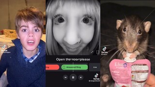 TikTok Memes Will Make You Laugh Uncontrollably 🤣