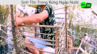 Sinh tồn trong rừng ngập nước p3