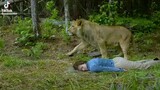 Ganda ng movie na ito➡️The Lion and the Tiger.